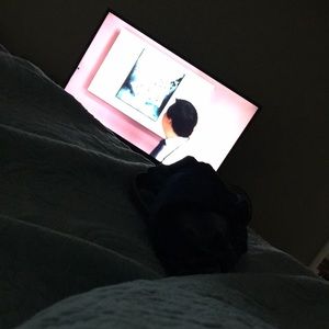 Meet your Posher, Felecia